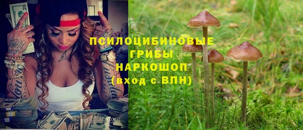 героин Алексин
