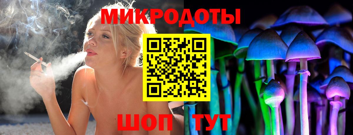 Галлюциногенные грибы Psilocybe Карабулак