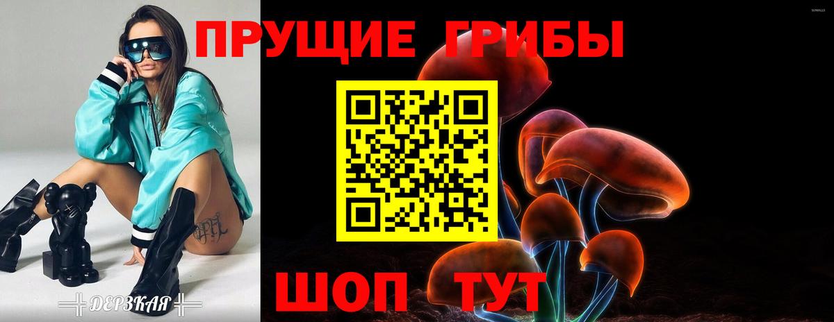 Карабулак  Псилоцибиновые грибы Psilocybine cubensis  Галлюциногенные грибы ЛСД  Вход с VPN 