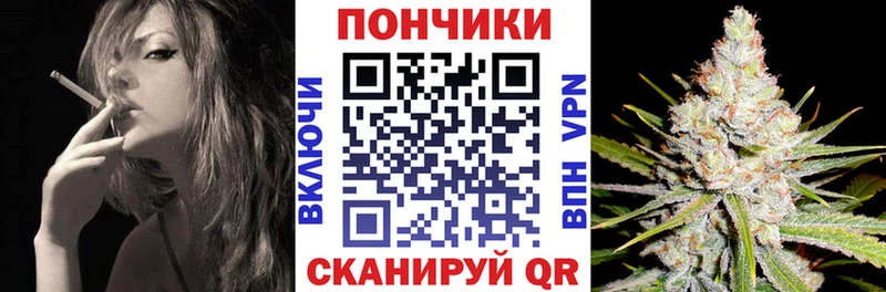 купить   Карабулак  Бошки Шишки планчик 